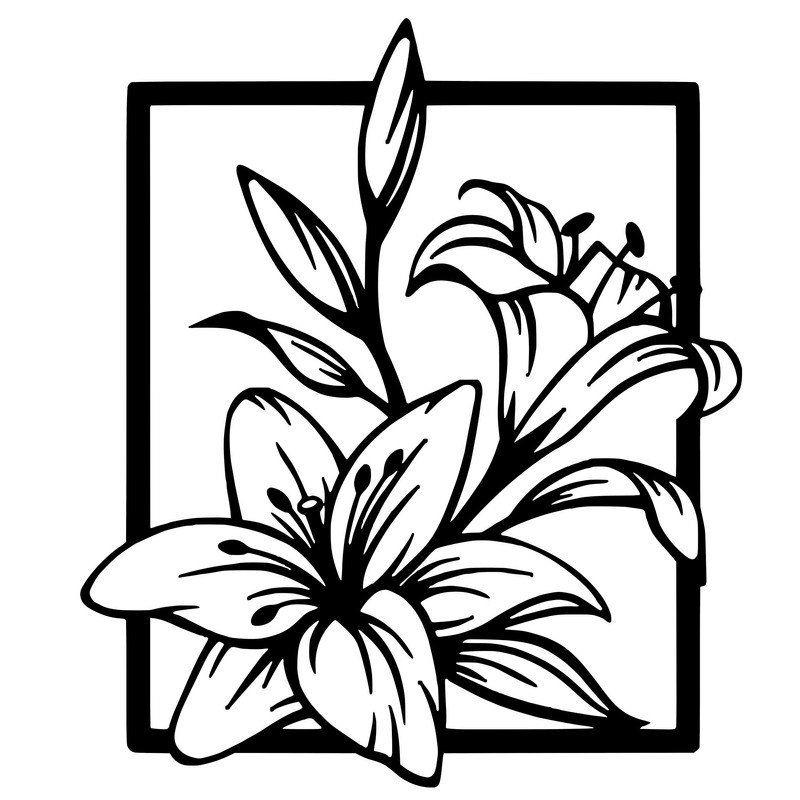 null