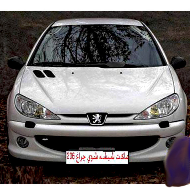 ماکت چراغ شو خودرو وارون مدل P-523-RC مناسب برای پژو 207 بسته 2 عددی