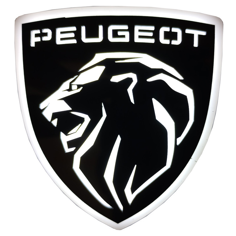 چراغ راهنما گلگیر خودرو مدل PEUGEOT3D-W WH مناسب برای پژو 405 بسته 2 عددی